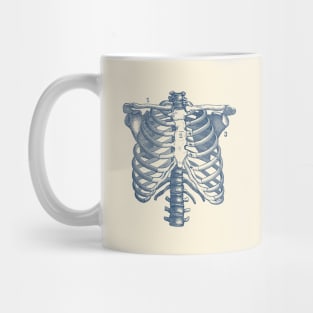 Shoulder and Rib Cage Diagram - Vintage Anatomy Poster Mug